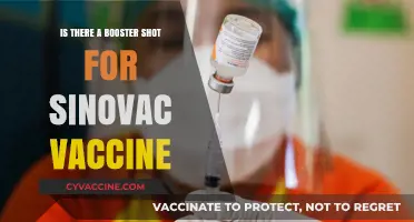 Sinovac Booster Shot: Availability, Efficacy, and What You Need to Know