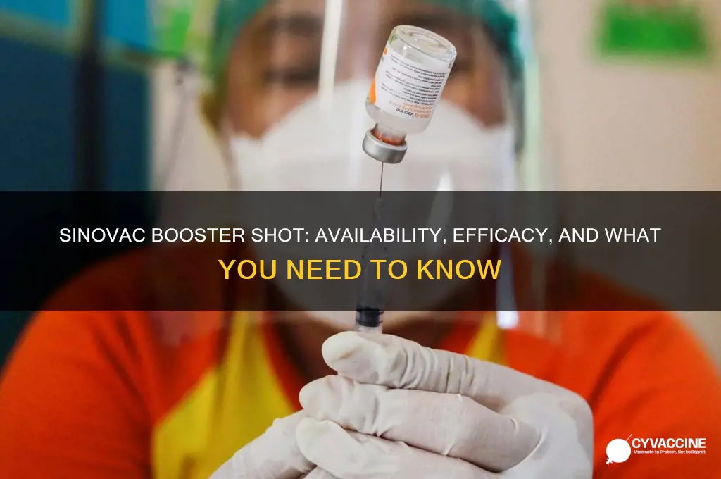 is there a booster shot for sinovac vaccine