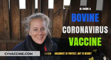 Advancements in Bovine Coronavirus Vaccine Research: A Comprehensive Update