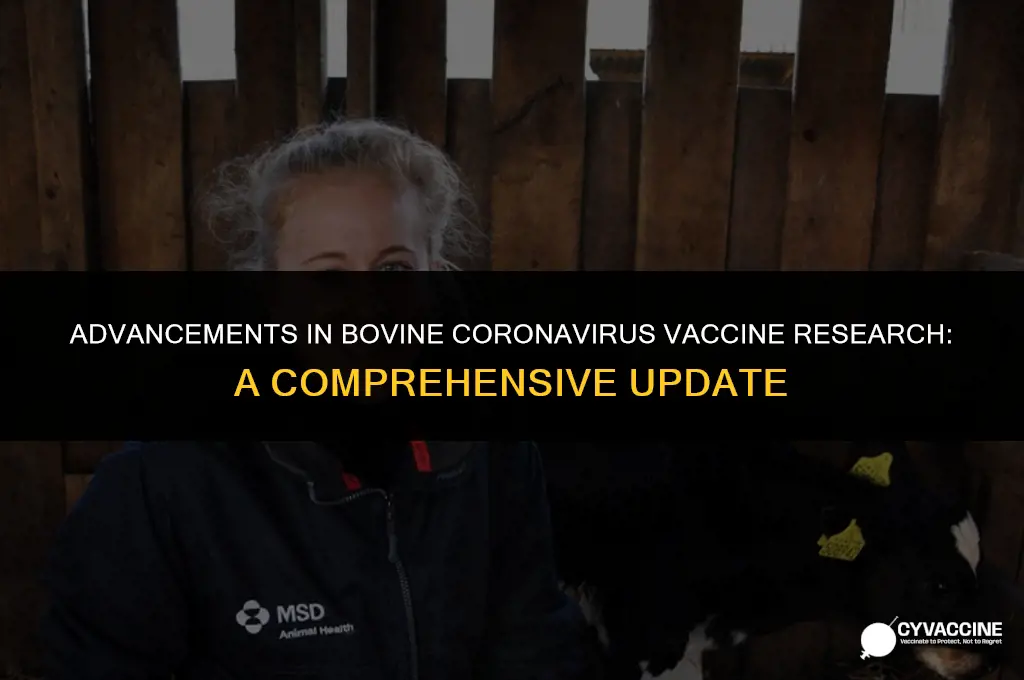 is there a bovine coronavirus vaccine