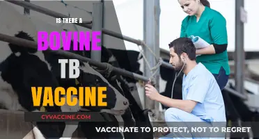 Hope on the Horizon: The Quest for a Bovine TB Vaccine