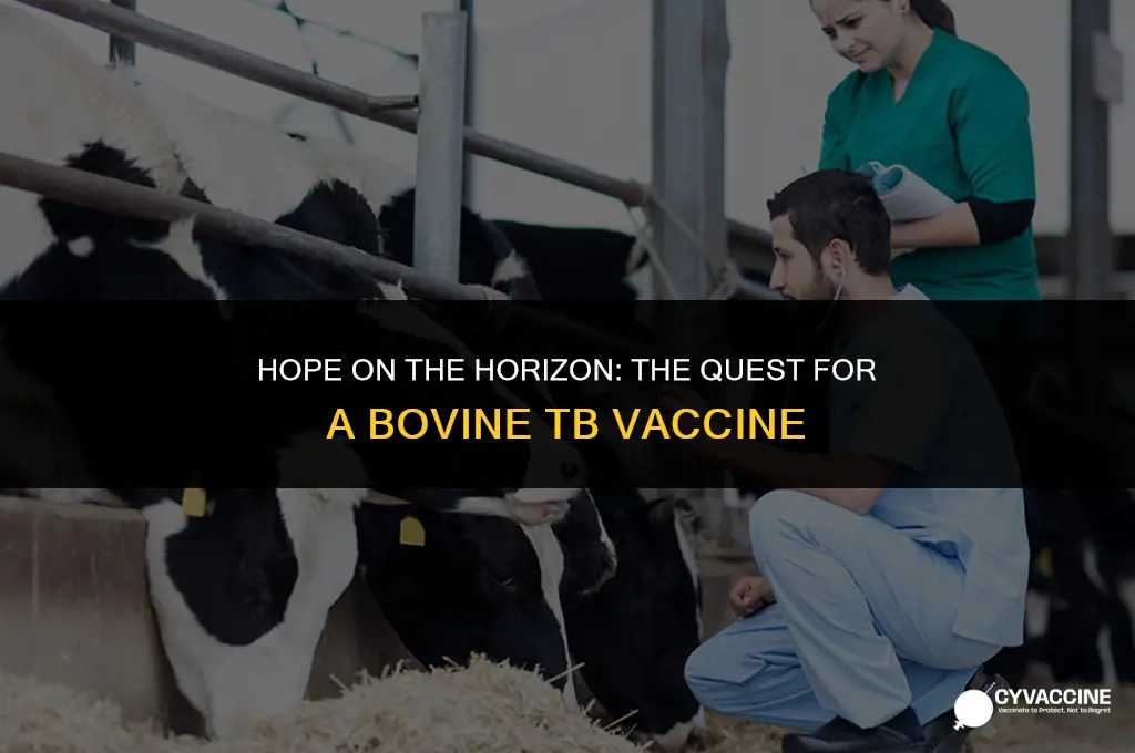is there a bovine tb vaccine