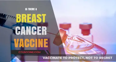 Exploring the Latest Advances: Is a Breast Cancer Vaccine on the Horizon?