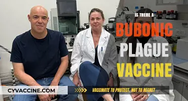 Does a Bubonic Plague Vaccine Exist? Exploring Prevention and Protection