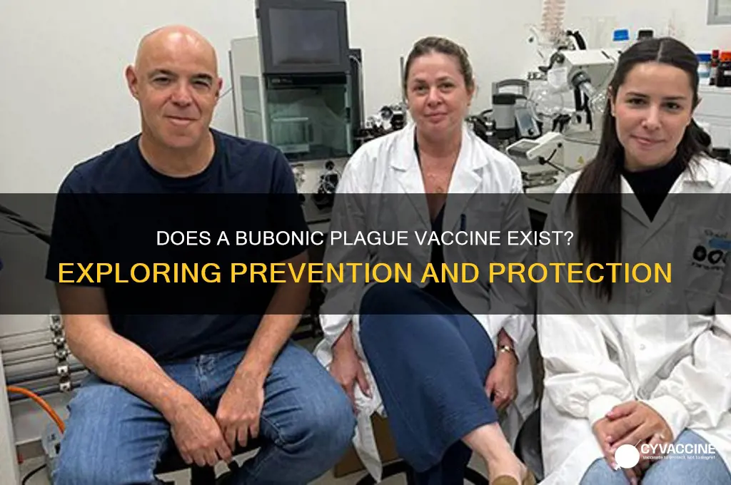 is there a bubonic plague vaccine