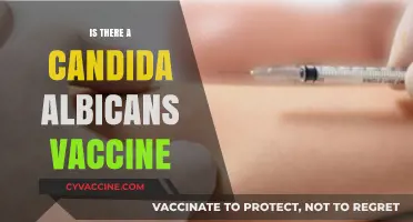Exploring the Possibility of a Candida Albicans Vaccine: Hope or Hype?