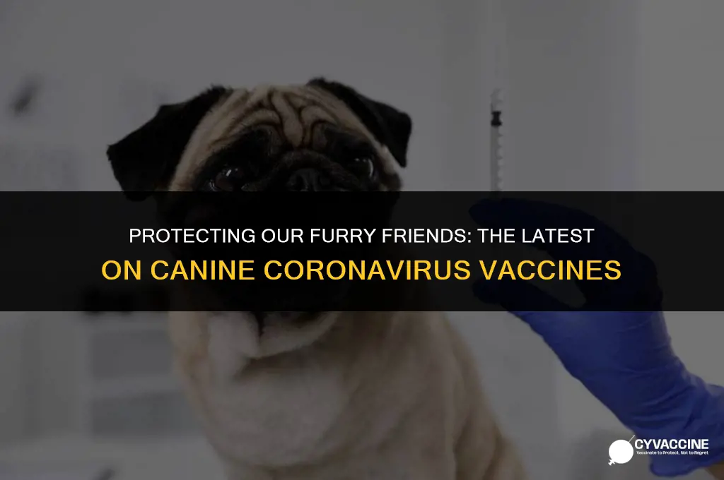 is there a canine corona vaccine