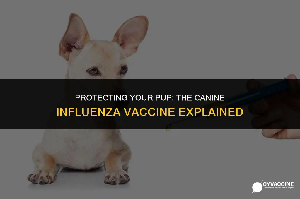 is there a canine influenza vaccine