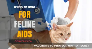 Feline AIDS Vaccine: Protecting Cats from FIV Infection