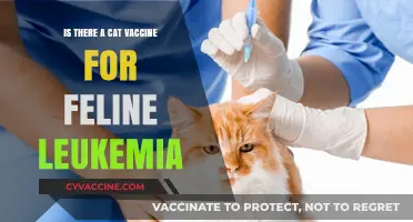 Feline Leukemia Vaccine: Protecting Cats from a Deadly Virus