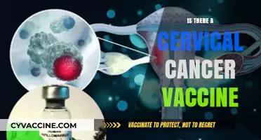 Protecting Against Cervical Cancer: The Vaccine You Need to Know About