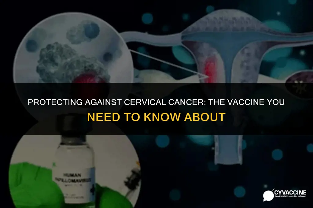 is there a cervical cancer vaccine