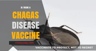 Exploring the Quest for a Chagas Disease Vaccine: Hope on the Horizon?