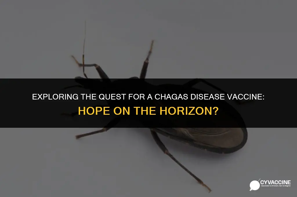 is there a chagas disease vaccine