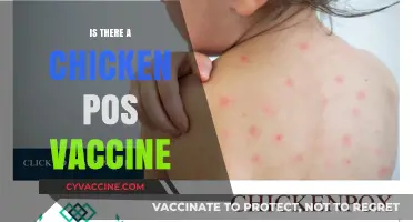 Exploring the Possibility of a Chickenpox Vaccine for Poultry