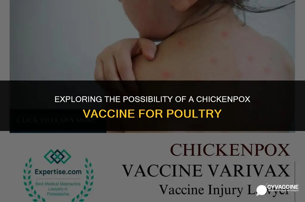 is there a chicken pos vaccine