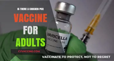 Adult Chickenpox Vaccine: Availability, Benefits, and When to Get It
