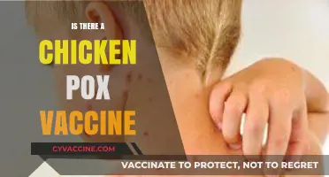 Chicken Pox Vaccine: Availability, Effectiveness, and Importance Explained