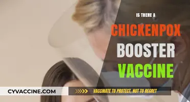Exploring the Need for a Chickenpox Booster Vaccine: Facts and Myths