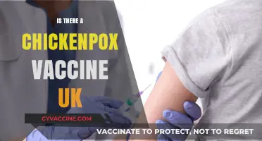 Protecting Against Chickenpox: The UK's Vaccination Programme Explained