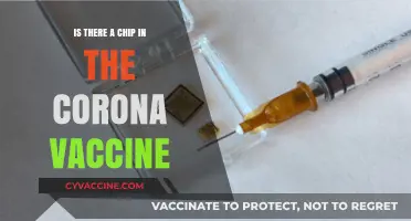 Debunking Myths: The Truth About Chips in COVID-19 Vaccines