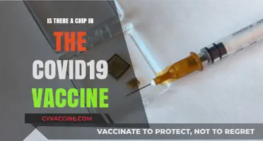 Debunking Myths: Are There Microchips in COVID-19 Vaccines?