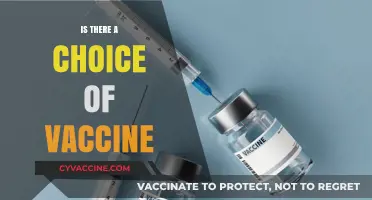 Exploring Your Options: The Truth About Vaccine Choices