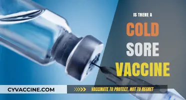 Cold Sore Vaccine: Current Research and Future Possibilities Explained