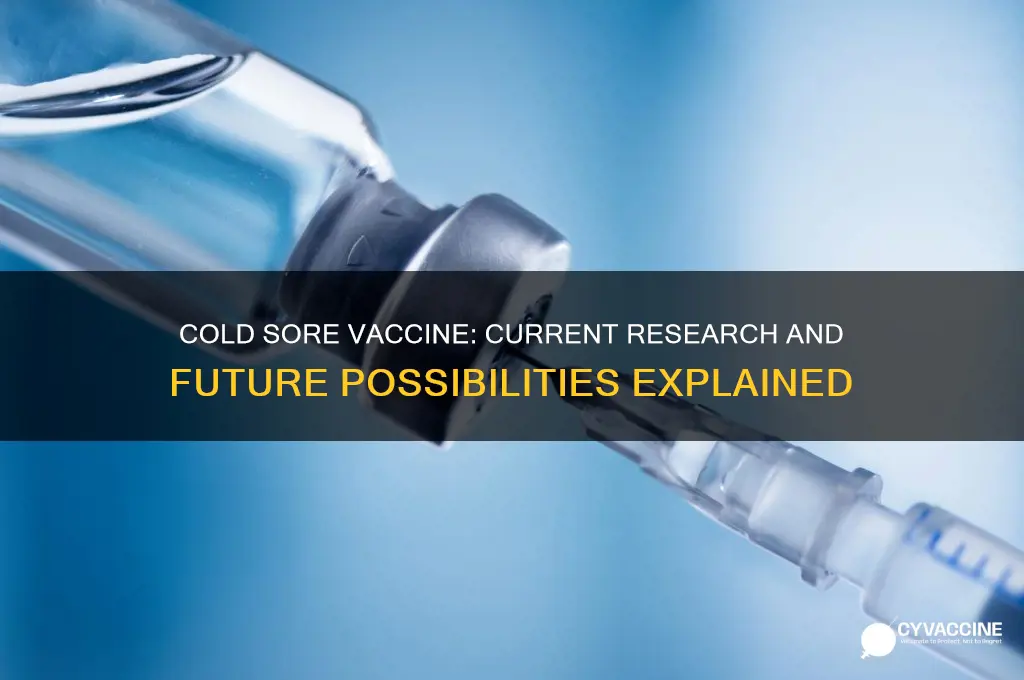 is there a cold sore vaccine