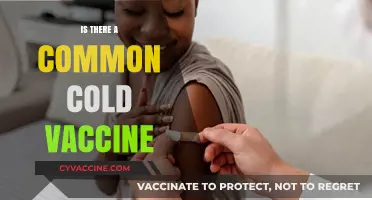 Exploring the Possibility of a Common Cold Vaccine: Fact or Fiction?