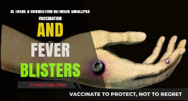 Smallpox Vaccination and Fever Blisters: Unraveling the Potential Link