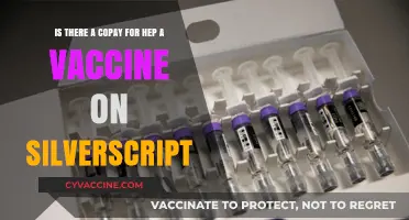 Hep A Vaccine Copay on SilverScript: What You Need to Know
