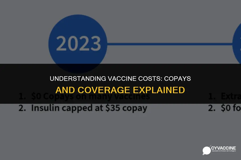 is there a copay for vaccines