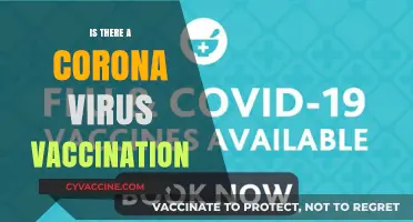 Exploring the Latest: Is There a Coronavirus Vaccination?