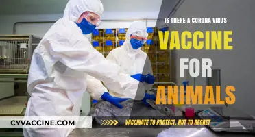 Animal COVID-19 Vaccines: Are They Available and Effective?