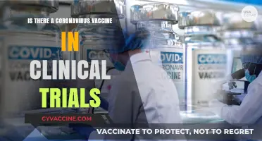 Coronavirus Vaccine Clinical Trials: Current Status and Progress Updates