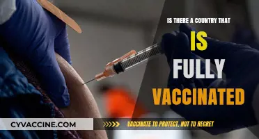 Fully Vaccinated Nations: Which Countries Have Achieved 100% Coverage?