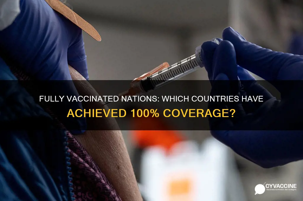 is there a country that is fully vaccinated
