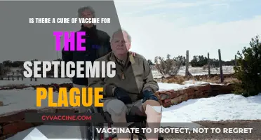 Septicemic Plague: Exploring Treatment Options and Vaccine Possibilities