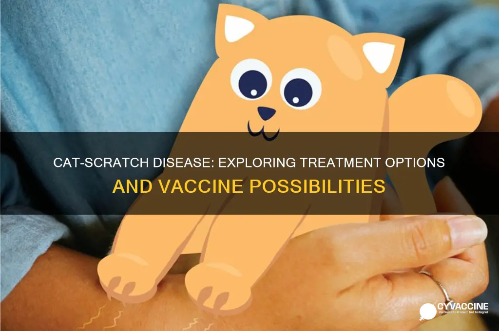 is there a cure or a vaccine for cat-scratch disease
