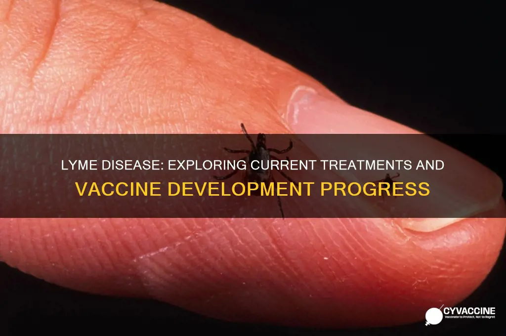 is there a cure or a vaccine for lyme disease