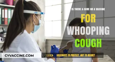 Whooping Cough: Current Treatments, Vaccine Effectiveness, and Prevention Strategies