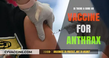 Anthrax Cure or Vaccine: Current Treatments and Prevention Strategies