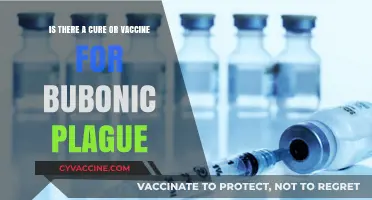 Bubonic Plague: Current Treatments, Vaccine Research, and Prevention Strategies