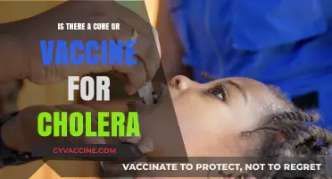 Cholera Cure and Vaccine: Current Treatments and Prevention Strategies