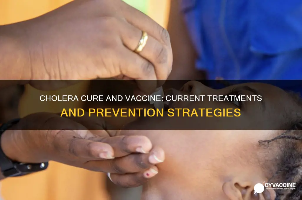is there a cure or vaccine for cholera