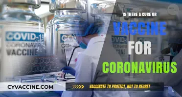 Coronavirus Cure or Vaccine: Current Research and Future Prospects