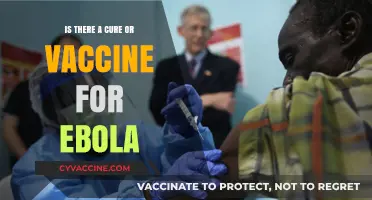 Ebola Cure or Vaccine: Current Research and Treatment Advances