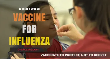 Influenza Cure or Vaccine: Current Treatments and Prevention Strategies