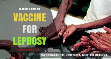 Leprosy: Exploring the Reality of Treatments and Potential Vaccines
